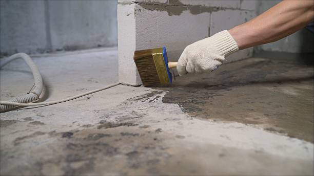 SJ Waterproofing Pros Waterproofing coverage map for Lakewood, IL and surrounding area